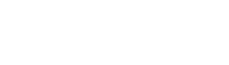 Softideia